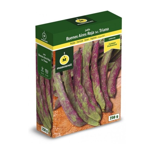 Semillas de Judia Buenos Aires Roja 250g