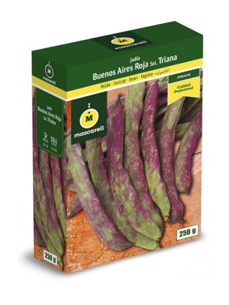 Semillas de Judia Buenos Aires Roja 250g