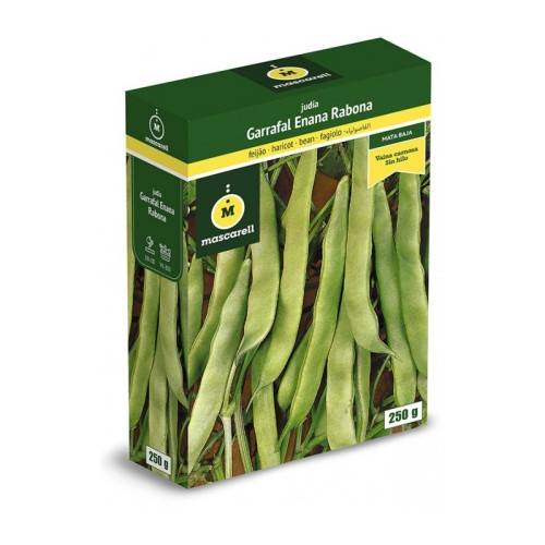 Semillas de Judia Garrafal Enana 250g