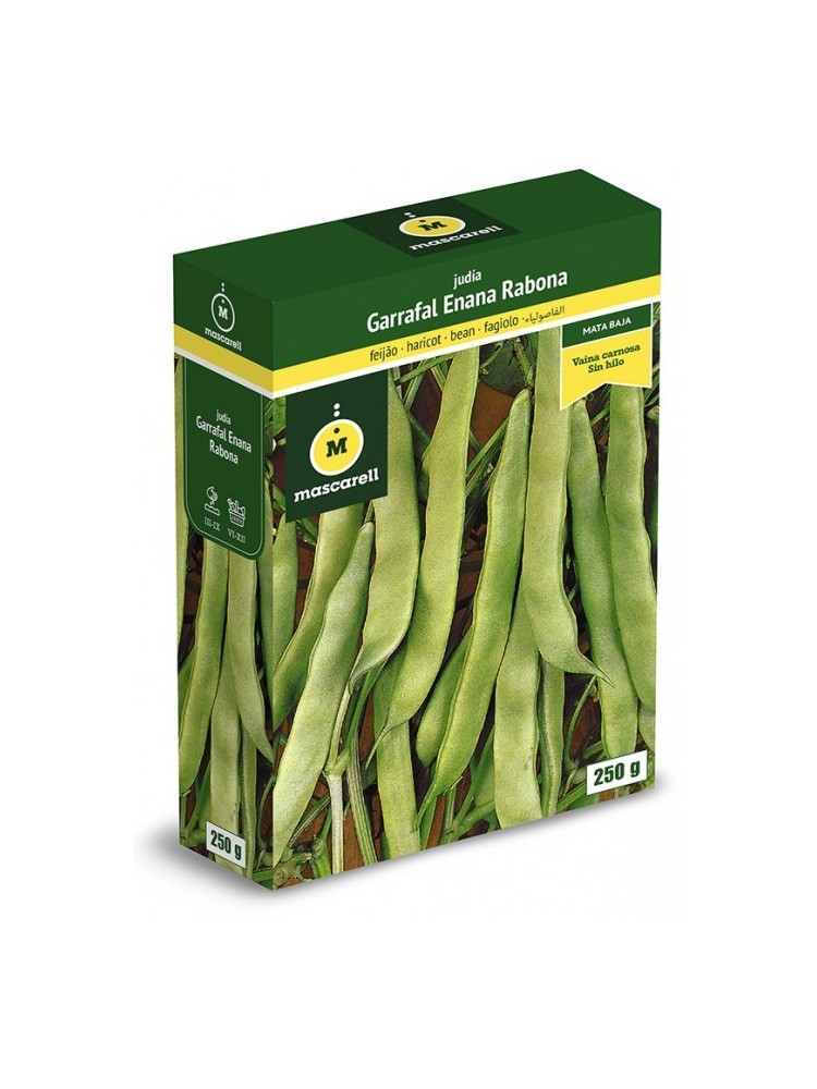 Semillas de Judia Garrafal Enana 250g