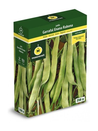 Semillas de Judia Garrafal Enana 250g