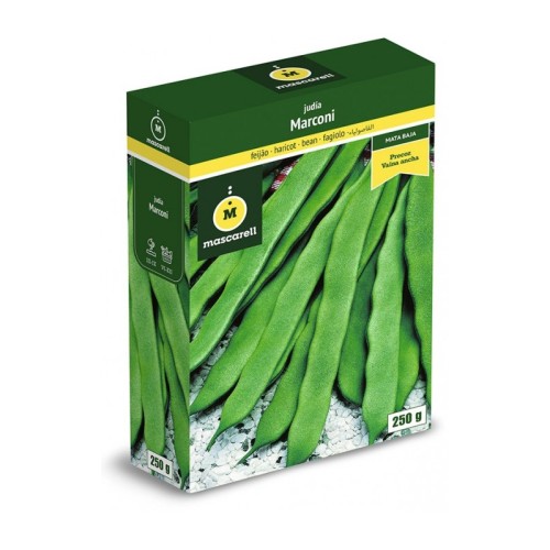 Semillas de Judia Marconi 250g