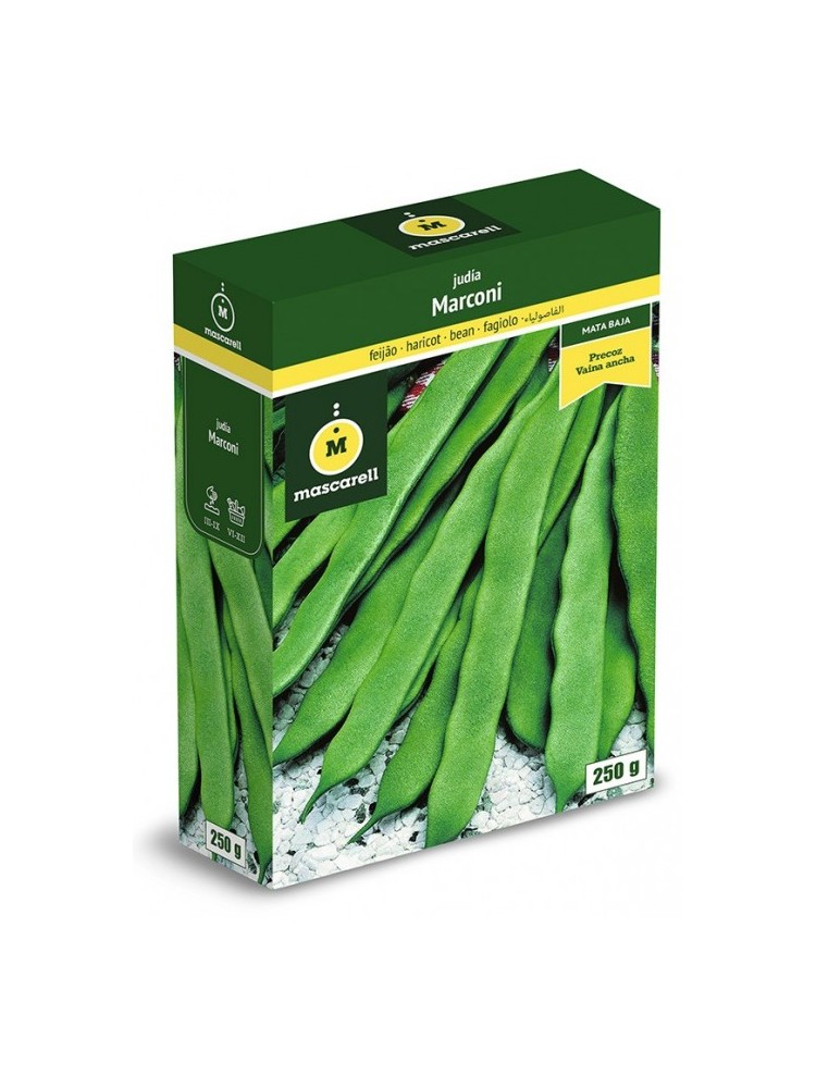 Semillas de Judia Marconi 250g Semillas de Judia Marconi 250g