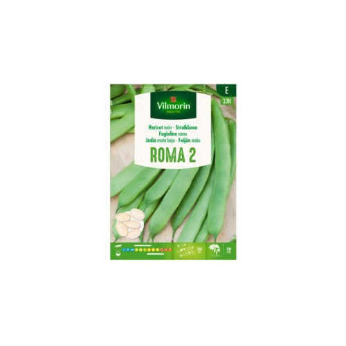 Semillas de Judia Roma 2