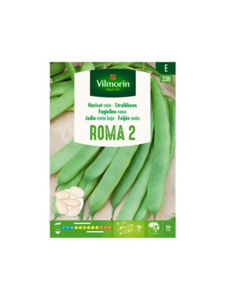 Semillas de Judia Roma 2