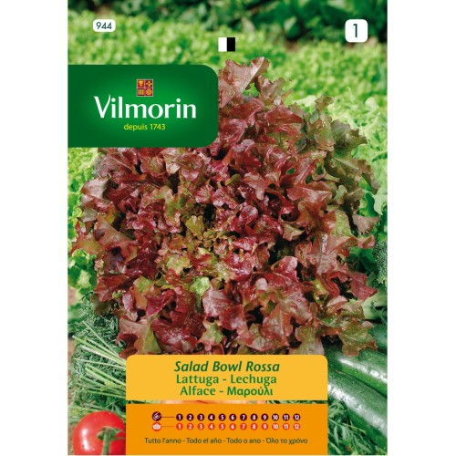 Semillas de Lechuga Red Salad Bowl