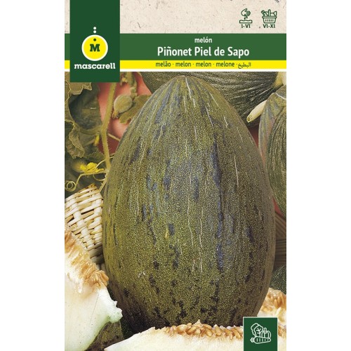 Semillas de Melon Piñonet Piel de Sapo 25g