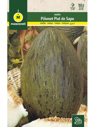 Semillas de Melon Piñonet Piel de Sapo 25g