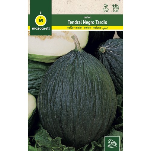 Semillas de Melon Tendral Negro Tardio 25g