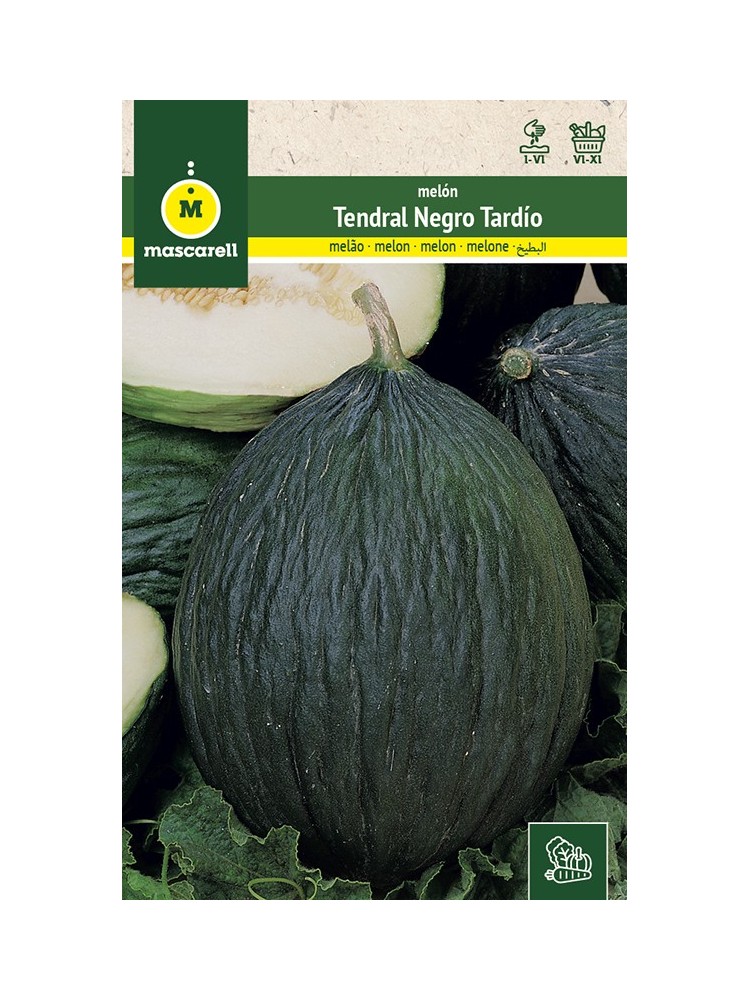 Semillas de Melon Tendral Negro Tardio 25g Semillas de Melon Tendral Negro Tardio 25g