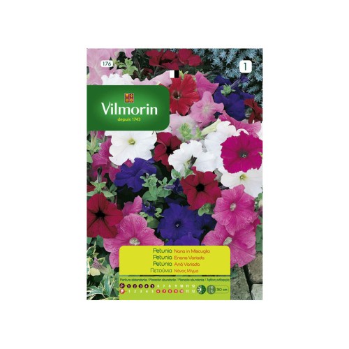 Semillas de Petunia Enana Variada