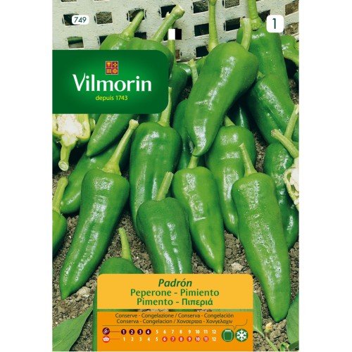 Semillas de Pimiento de Padron