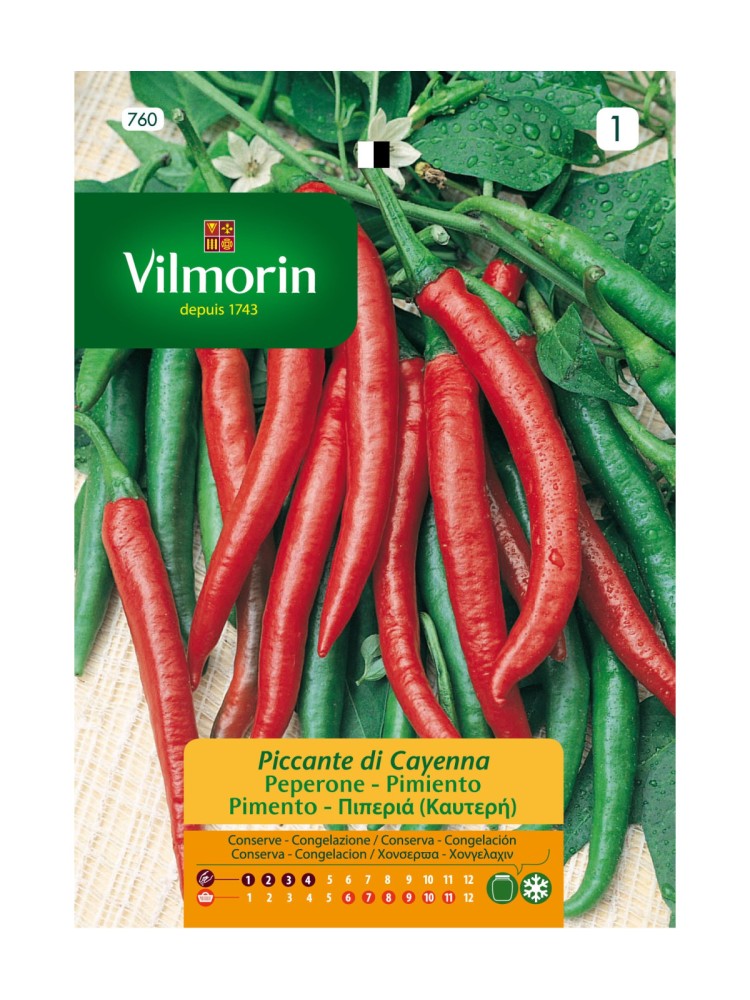Semillas de Pimiento Picante di Cayena Semillas de Pimiento Picante di Cayena