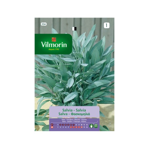 Semillas de Salvia Officinalis