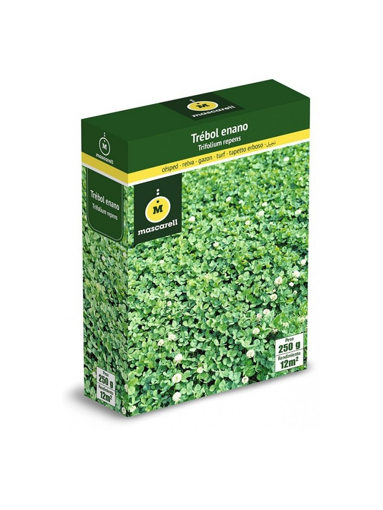 Semillas de Trebol Blanco Enano 250g Semillas de Trebol Blanco Enano 250g