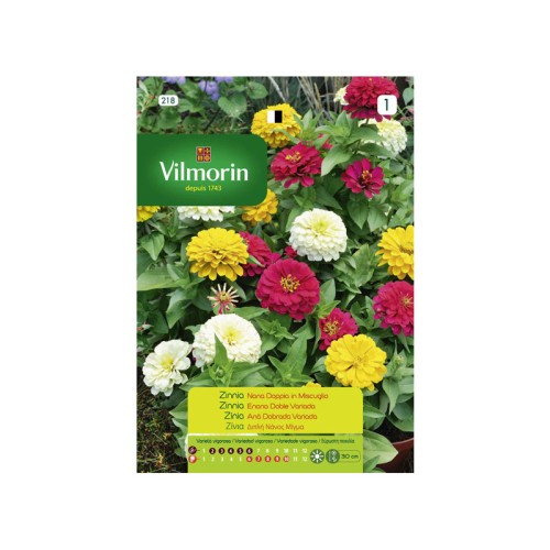 Semillas de Zinnia Enana Doble Variada
