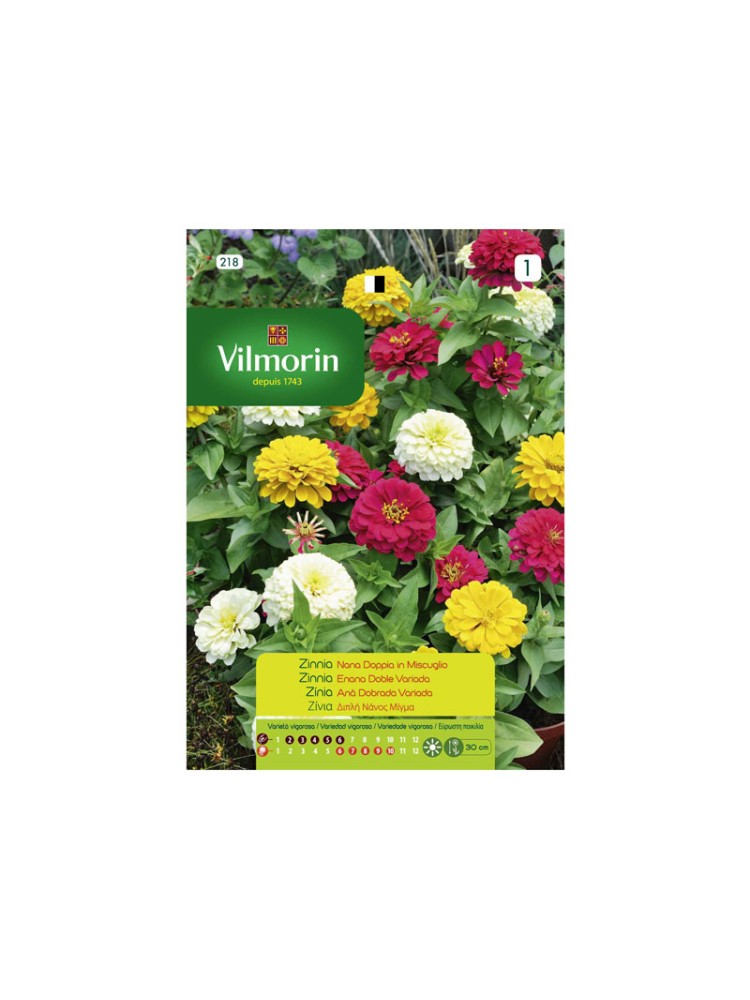 Semillas de Zinnia Enana Doble Variada Semillas de Zinnia Enana Doble Variada