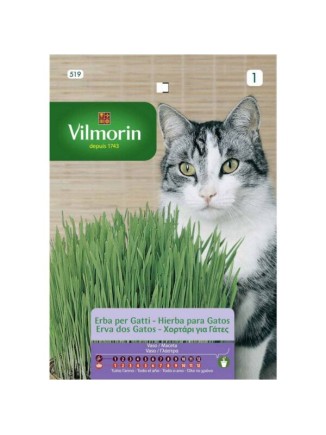 Semillas de Hierba para Gatos