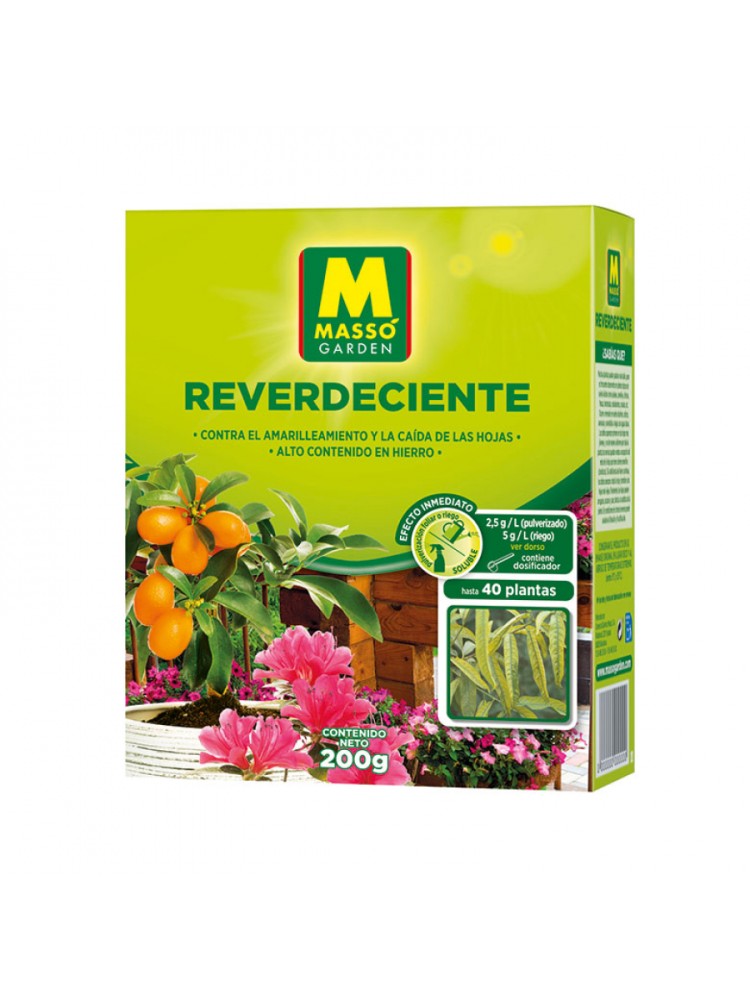 Reverdecente 200g