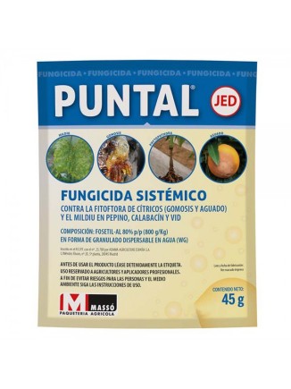 Puntal JED