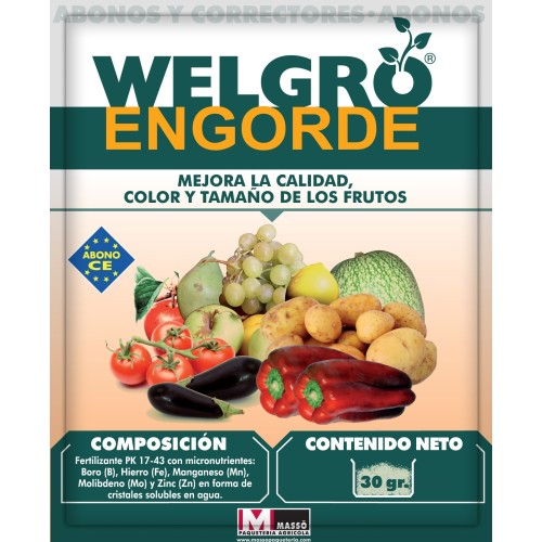 Welgro Engorde 30g