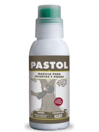 Pasta Cicatrizante Pastol 250g