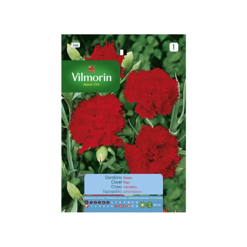 Semillas de Clavel Rojo