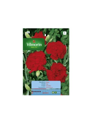 Semillas de Clavel Rojo