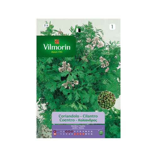 Semillas de Cilantro