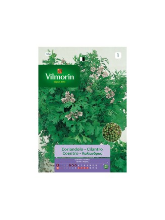 Semillas de Cilantro