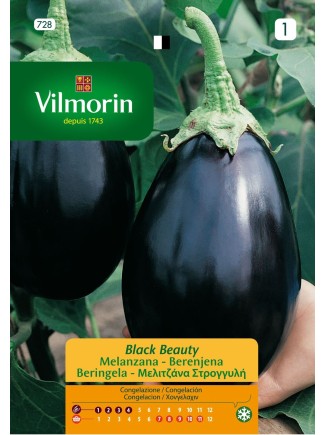 Semillas de Berenjena Black Beauty