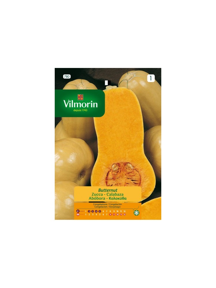 Semillas de Calabaza Butternut Semillas de Calabaza Butternut