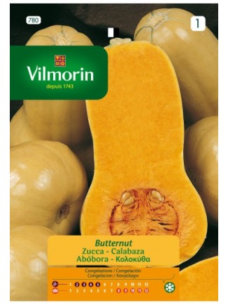 Semillas de Calabaza Butternut