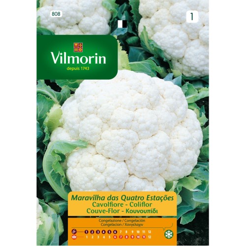 Semillas de Coliflor 4 Estaciones