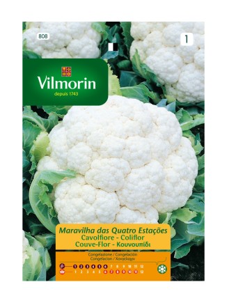 Semillas de Coliflor 4 Estaciones