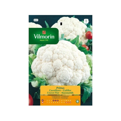 Semillas de Coliflor Primus