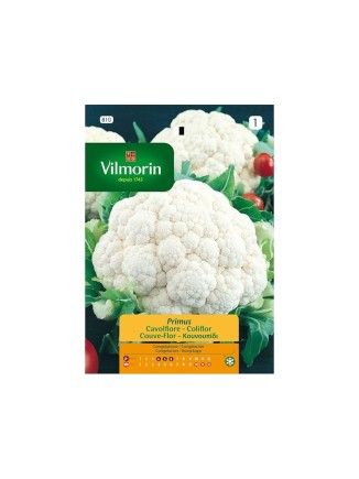 Semillas de Coliflor Primus