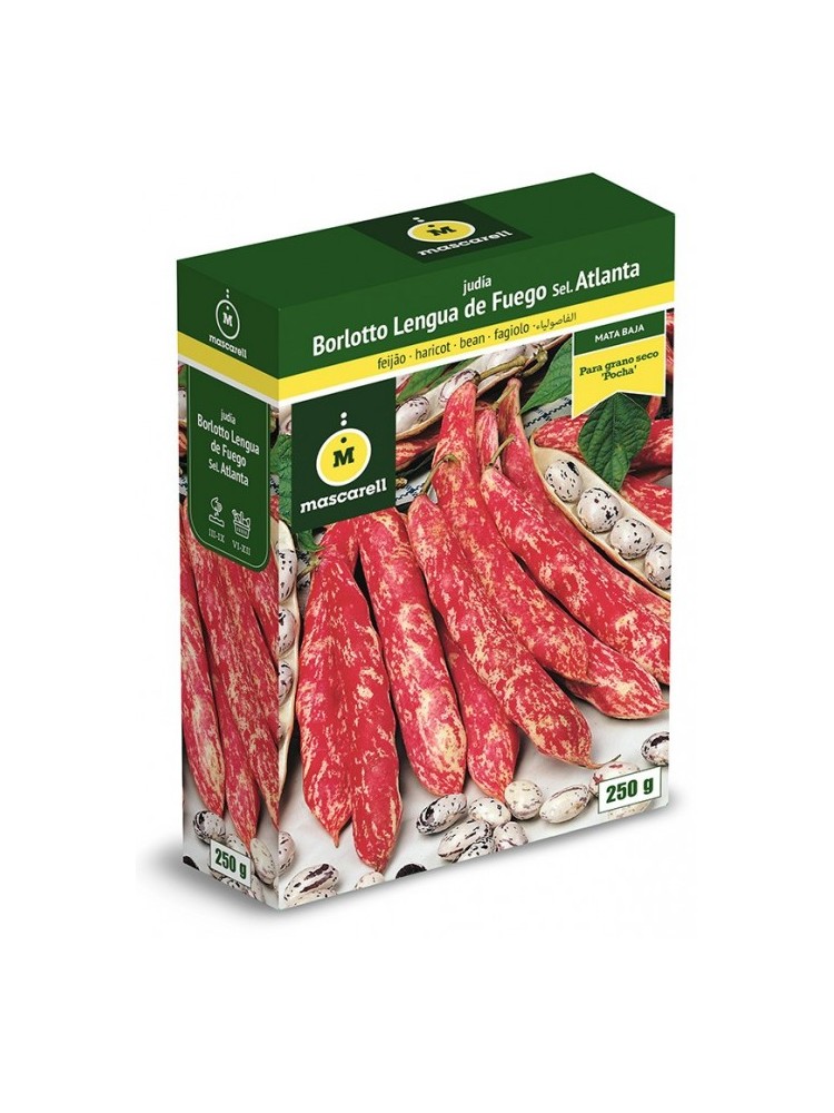 Semillas de Judia Borlotto Lengua de Fuego 250g Semillas de Judia Borlotto Lengua de Fuego 250g