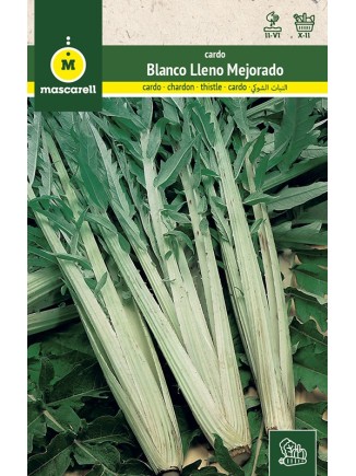 Semillas de Cardo Blanco Lleno Mejorado