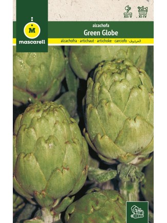 Semillas de Alcachofa Globe