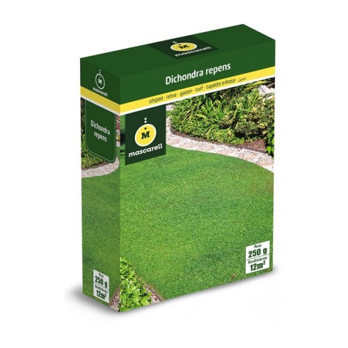 Semillas de Dichondra 250g