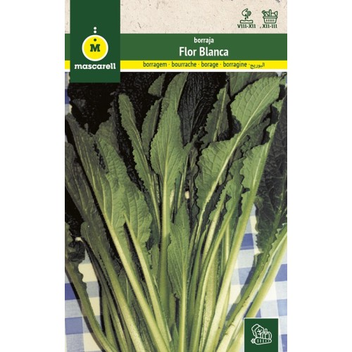 Semillas de Borraja Flor Blanca 100g