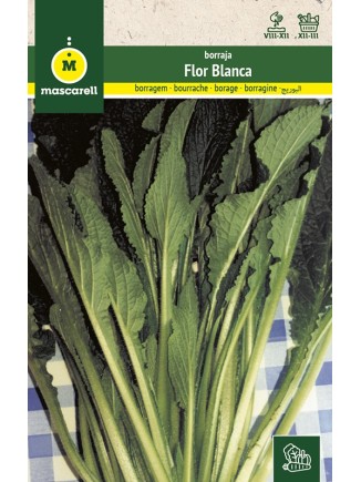 Semillas de Borraja Flor Blanca 100g