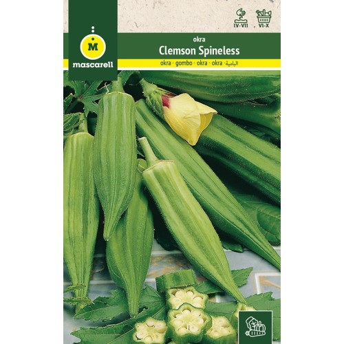 Semillas de Okra Gombo
