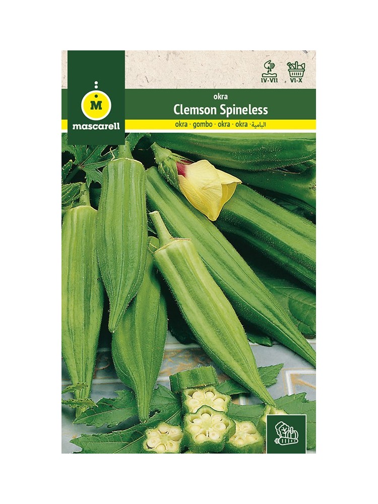 Semillas de Okra Gombo Semillas de Okra Gombo
