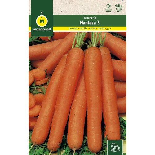 Semillas de Zanahoria Nantesa 3 25g