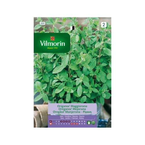 Semillas de Oregano / Mejorana Vivaz